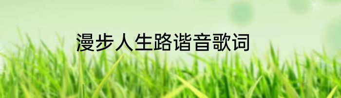 漫步人生路谐音歌词