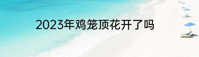 2023年鸡笼顶花开了吗