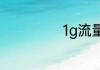 1g流量是多少mb