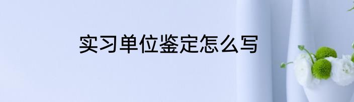 实习单位鉴定怎么写