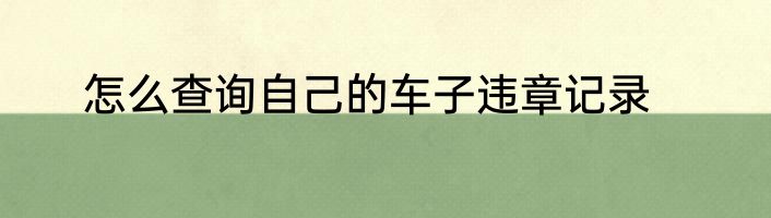 怎么查询自己的车子违章记录