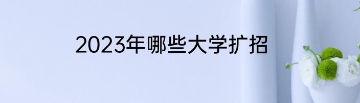 2023年哪些大学扩招