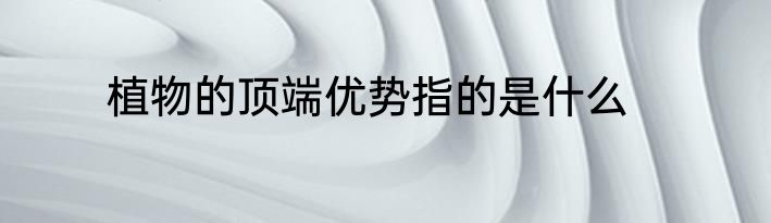 植物的顶端优势指的是什么