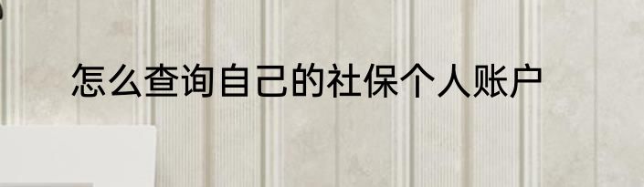 怎么查询自己的社保个人账户