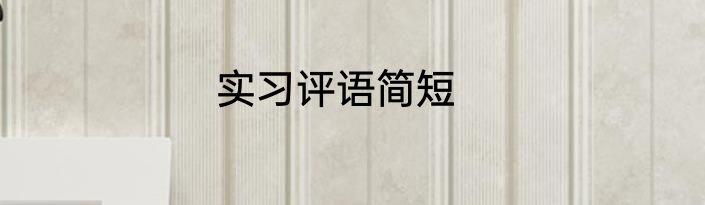 实习评语简短