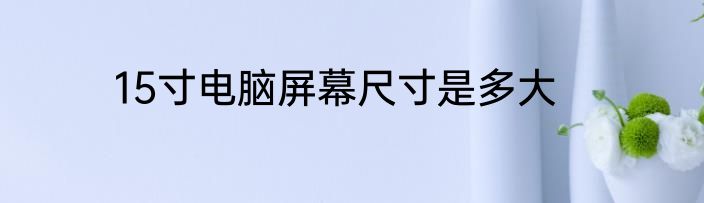 15寸电脑屏幕尺寸是多大