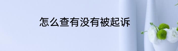 怎么查有没有被起诉
