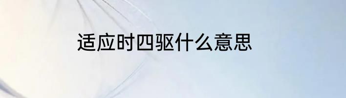 适应时四驱什么意思