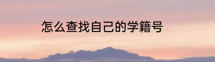 怎么查找自己的学籍号