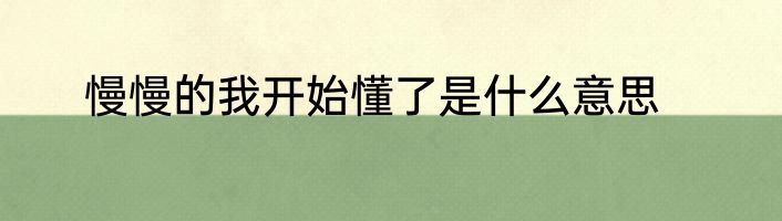 慢慢的我开始懂了是什么意思