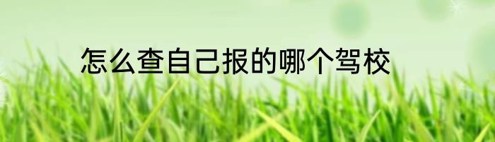 怎么查自己报的哪个驾校