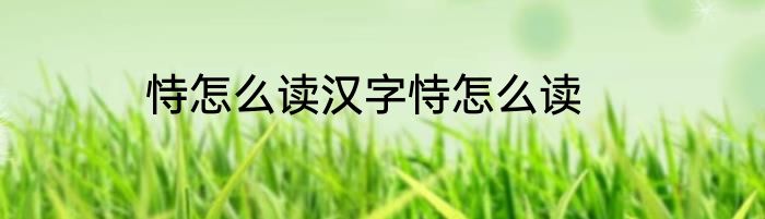 恃怎么读汉字恃怎么读