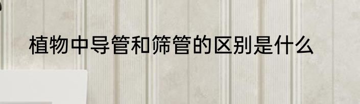 植物中导管和筛管的区别是什么