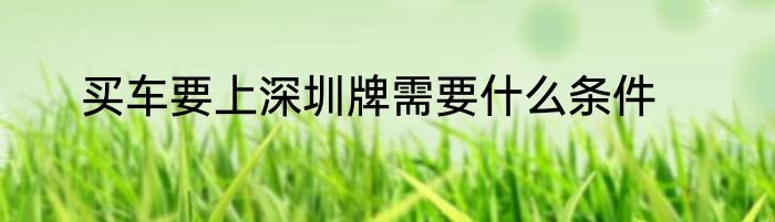 买车要上深圳牌需要什么条件