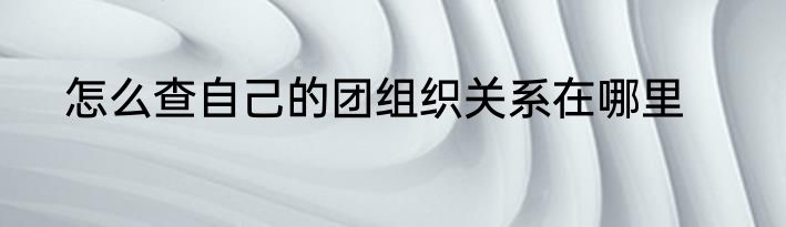 怎么查自己的团组织关系在哪里