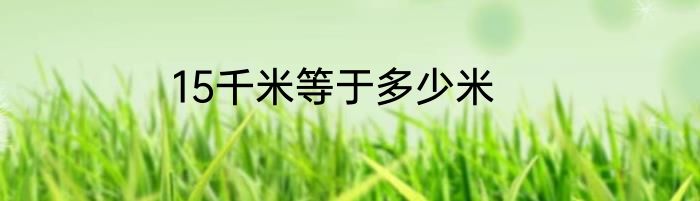 15千米等于多少米
