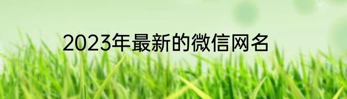 2023年最新的微信网名