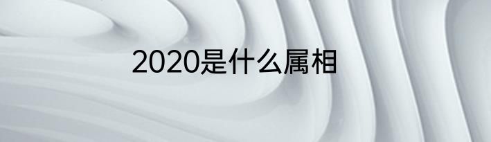 2020是什么属相