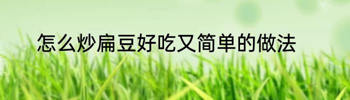 怎么炒扁豆好吃又简单的做法