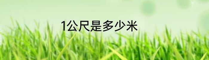 1公尺是多少米