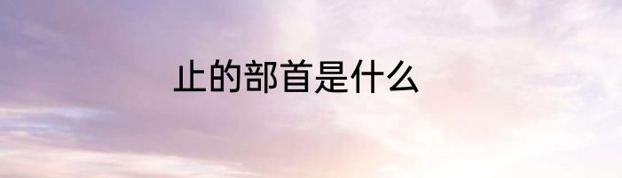 止的部首是什么
