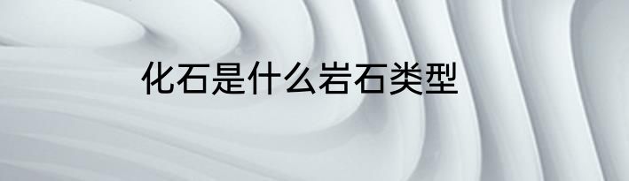 化石是什么岩石类型
