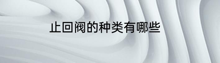止回阀的种类有哪些