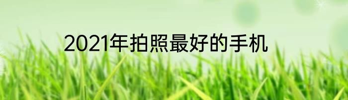 2021年拍照最好的手机