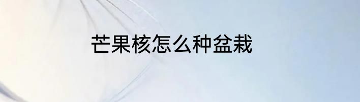 芒果核怎么种盆栽