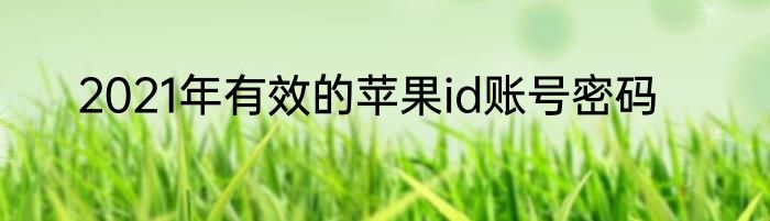 2021年有效的苹果id账号密码