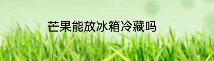 芒果能放冰箱冷藏吗