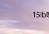 15lb哑铃多少斤