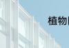 植物园有什么树
