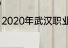 2020年武汉职业技术学院录取分数线
