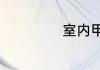 室内甲醛去除方法