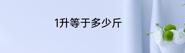 1升等于多少斤