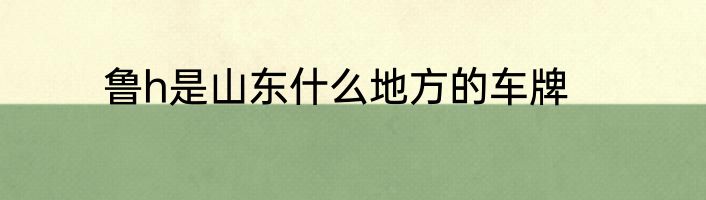 鲁h是山东什么地方的车牌