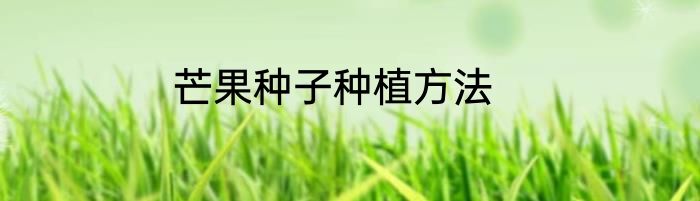 芒果种子种植方法