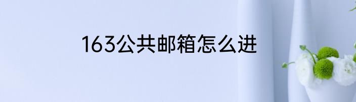 163公共邮箱怎么进
