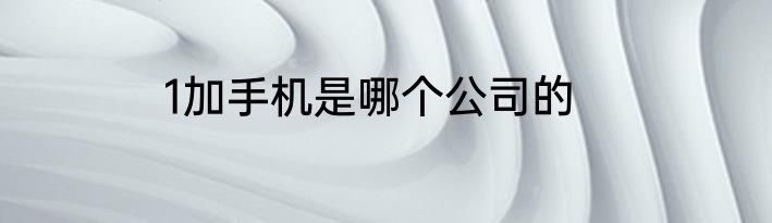1加手机是哪个公司的