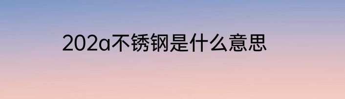 202a不锈钢是什么意思
