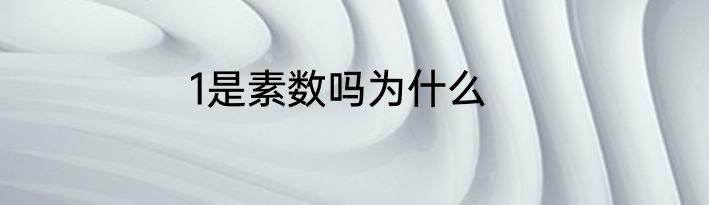 1是素数吗为什么