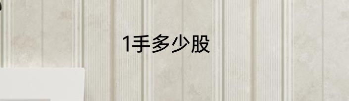 1手多少股