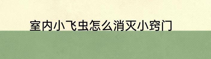 室内小飞虫怎么消灭小窍门