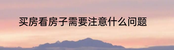 买房看房子需要注意什么问题