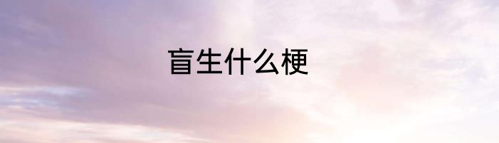 盲生什么梗