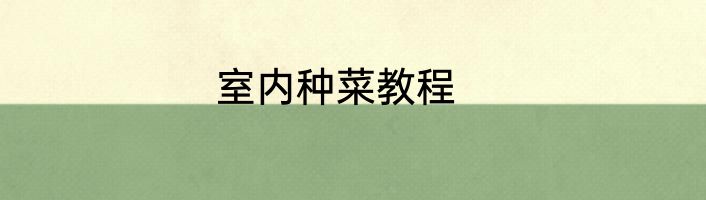 室内种菜教程