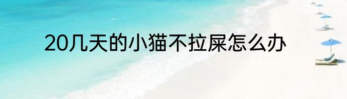 20几天的小猫不拉屎怎么办