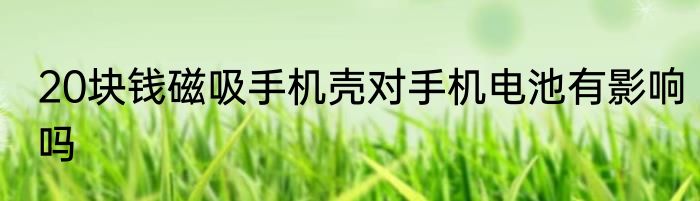 20块钱磁吸手机壳对手机电池有影响吗