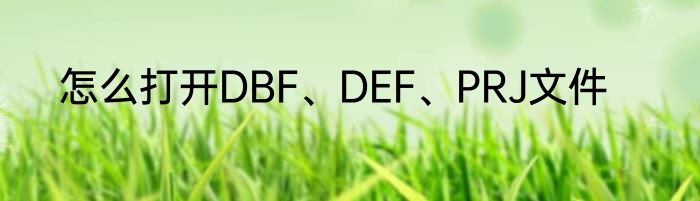 怎么打开DBF、DEF、PRJ文件